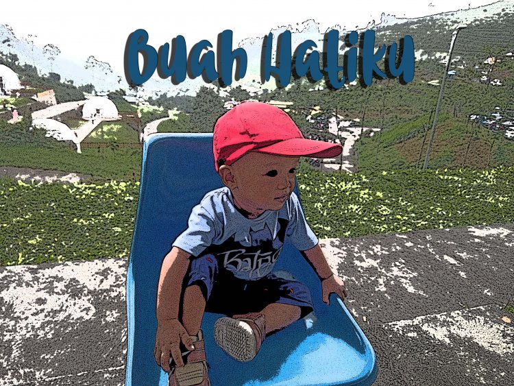 Buah Hatiku