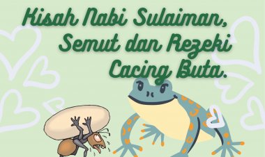 Kisah Nabi Sulaiman, Semut, dan Rezeki Cacing Buta
