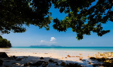 Pasir yang Bisu: Cerita Keheningan Pantai