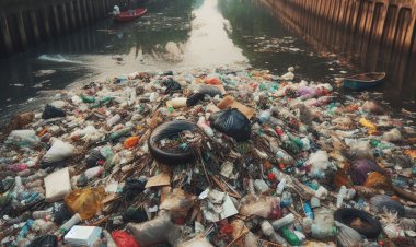 5 Dampak Buruk Pembuangan Sampah ke Sungai