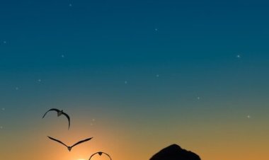 Merpati dan Langit Senja